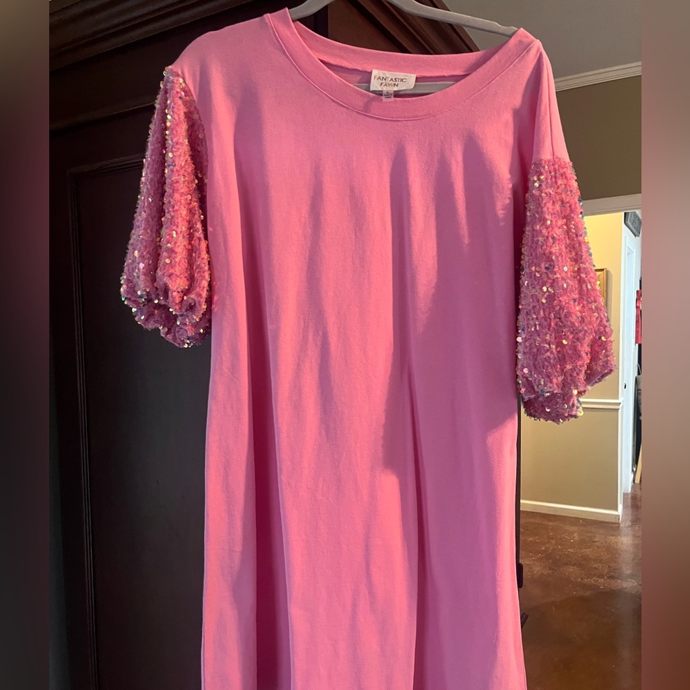 Fantastic Fawn tshirt style dress with sequin sleeves